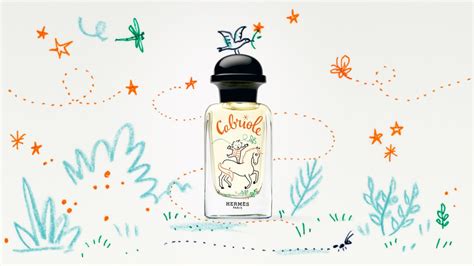 hermes perfume baby|Hermes paris baby gifts.